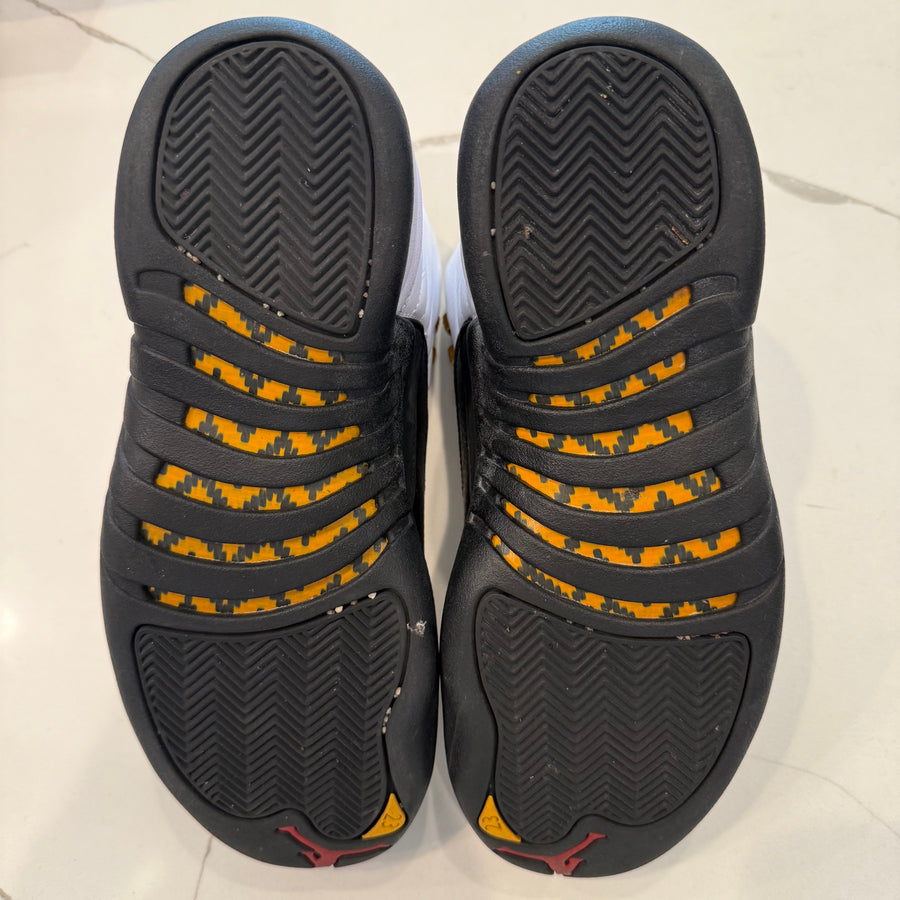 Air Jordan 12 Retro 
