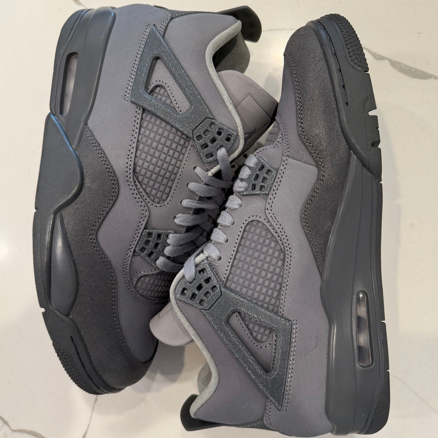 Air Jordan 4 Retro SE 