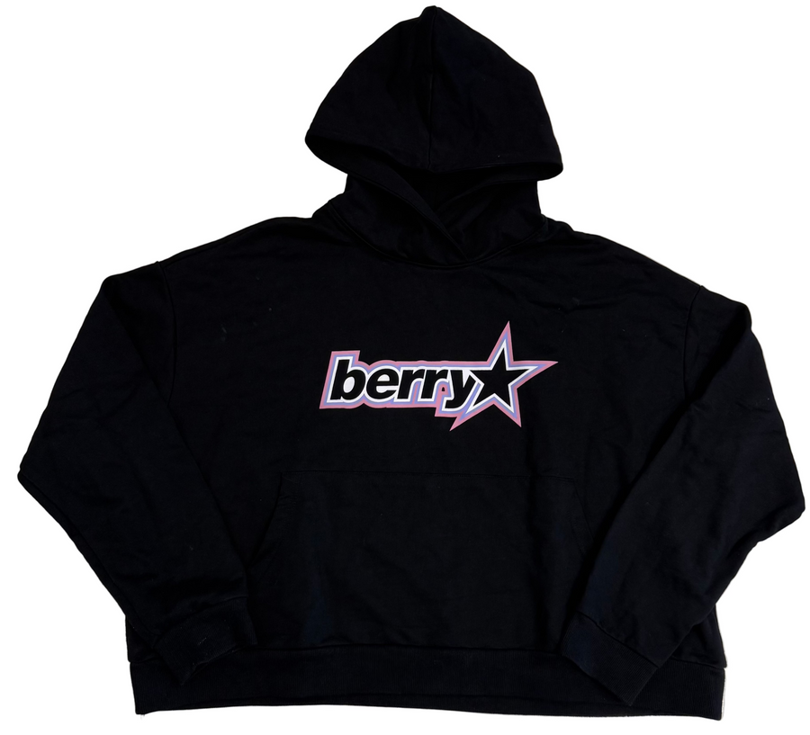 BF | GV Gallery Berry Pullover [USED M]