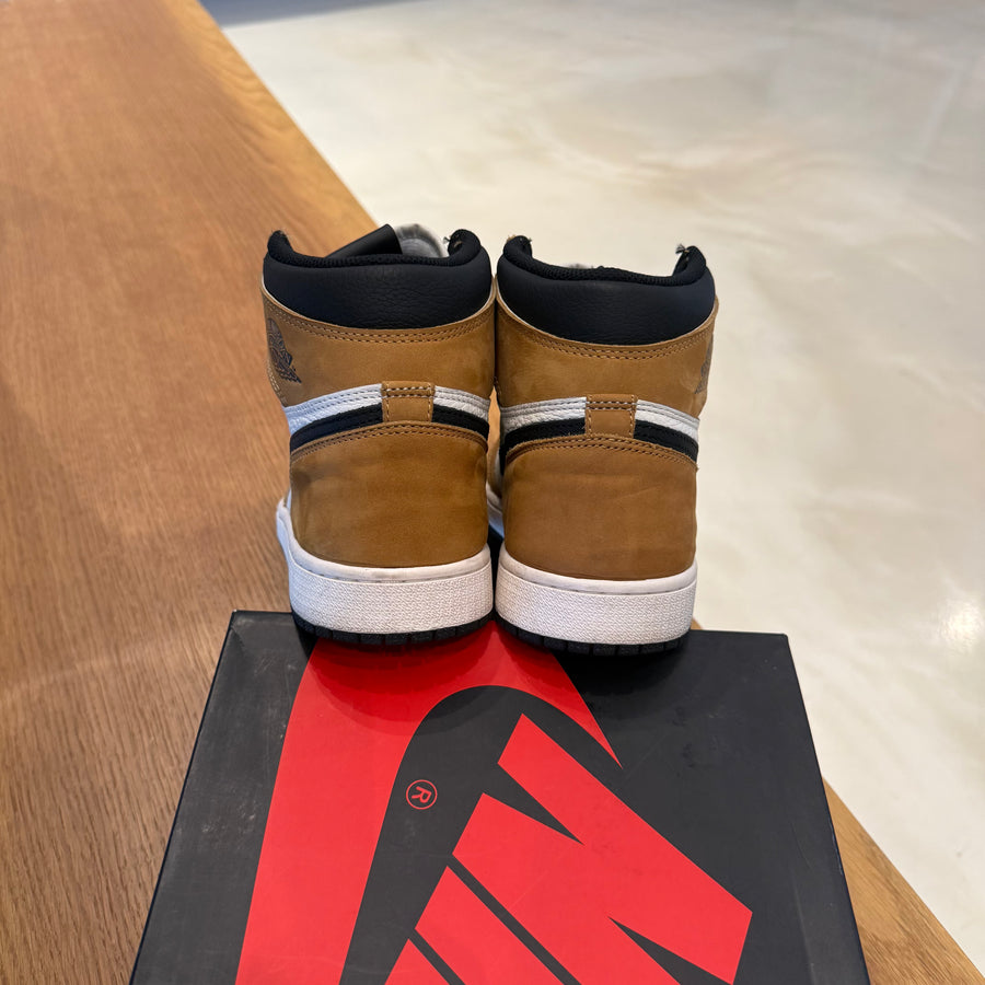 Air Jordan 1 Retro High 