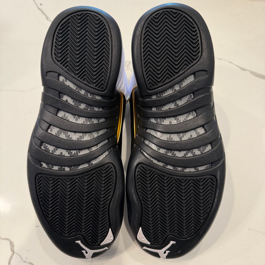 Air Jordan 12 Retro 