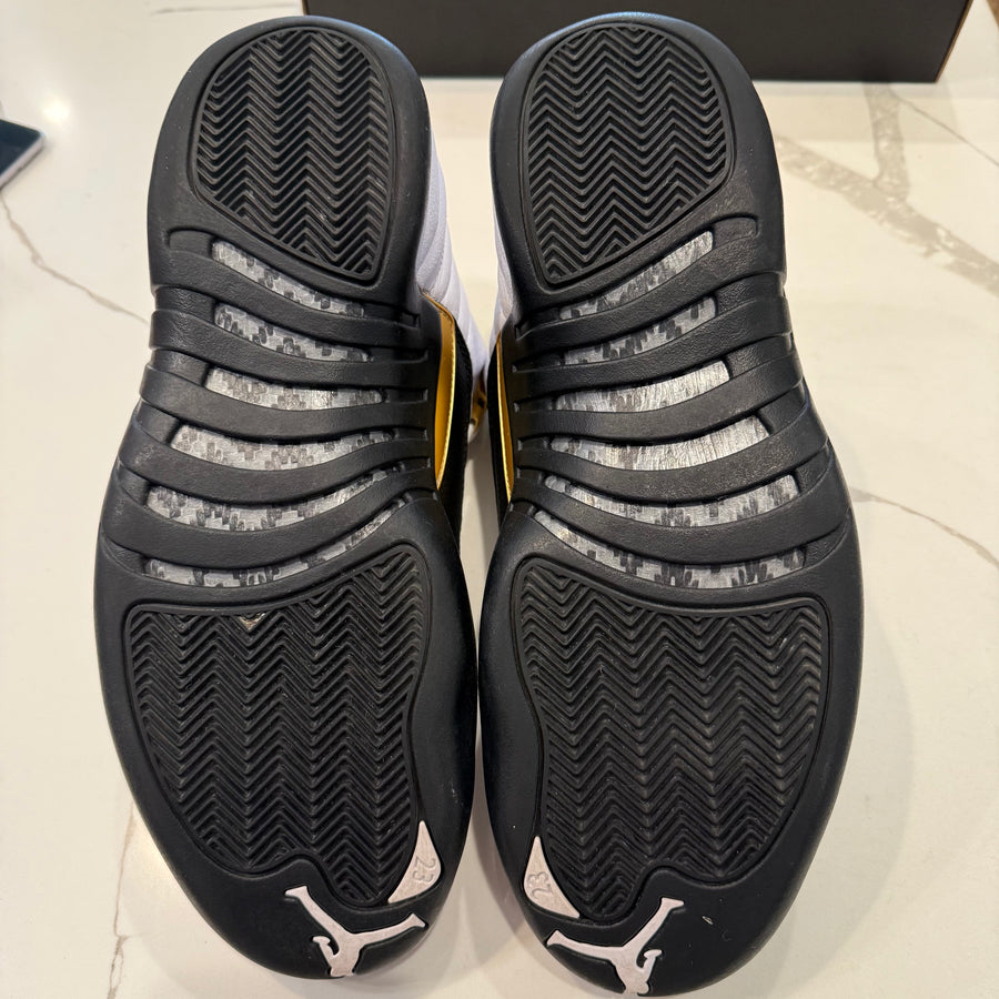 Air Jordan 12 Retro 