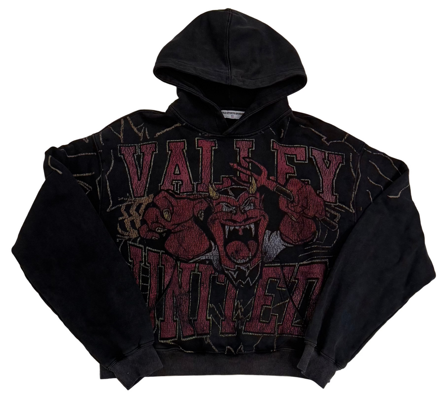 BF | Valley Forever Valley Mascot Pullover [USED L]