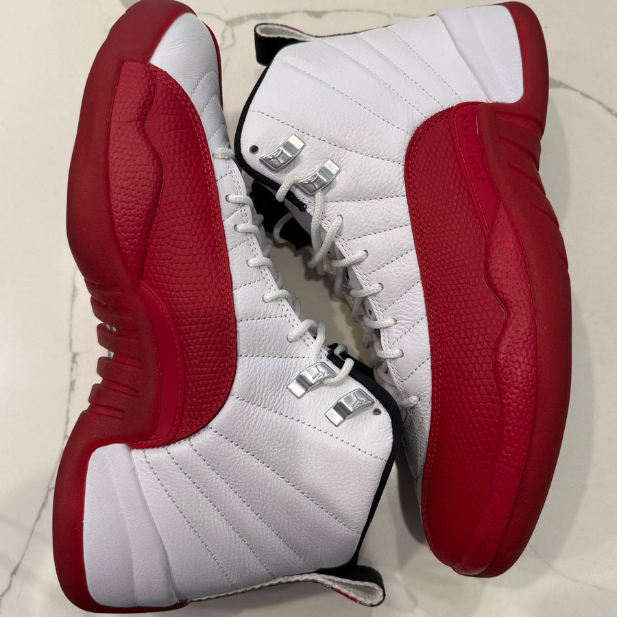 Air Jordan 12 Retro 