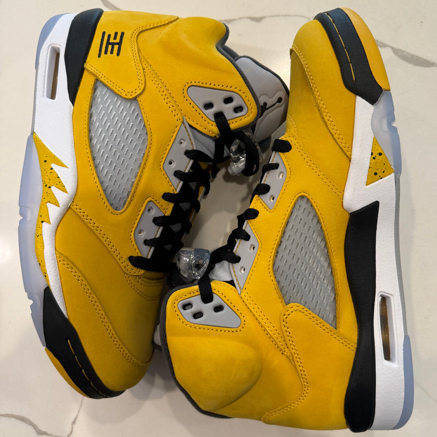 Air Jordan 5 Retro T23 