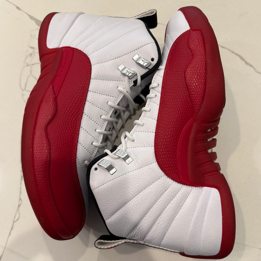 Air Jordan 12 Retro 