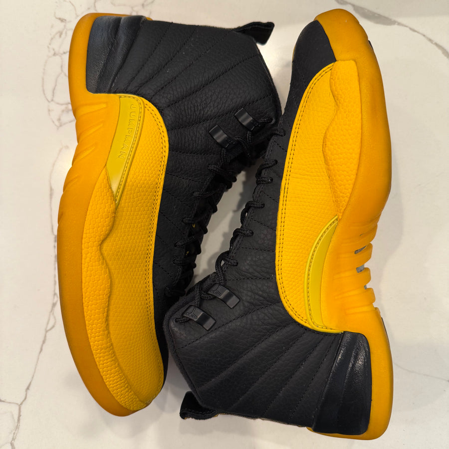 Air Jordan 12 Retro 