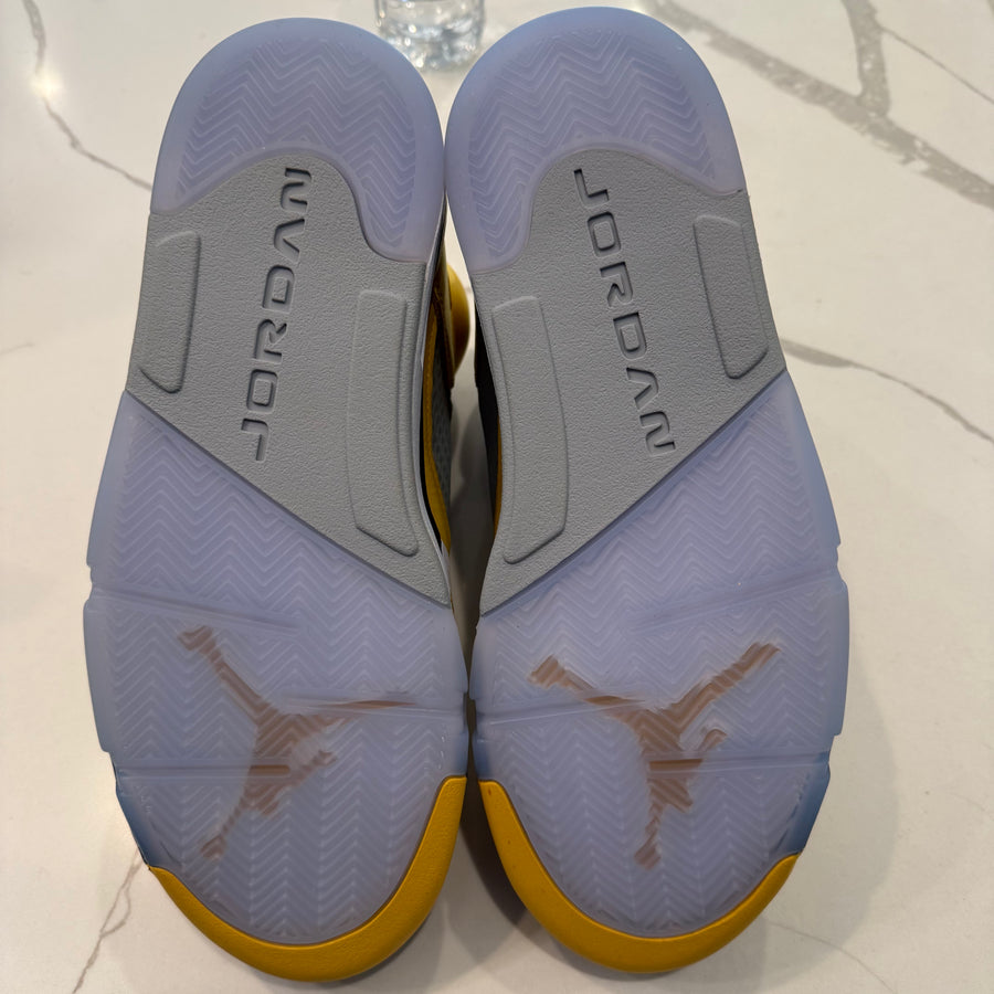 Air Jordan 5 Retro T23 