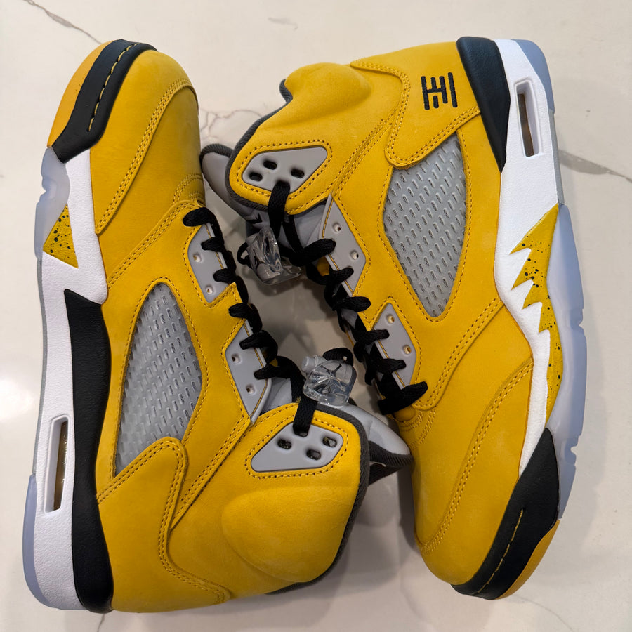 Air Jordan 5 Retro T23 