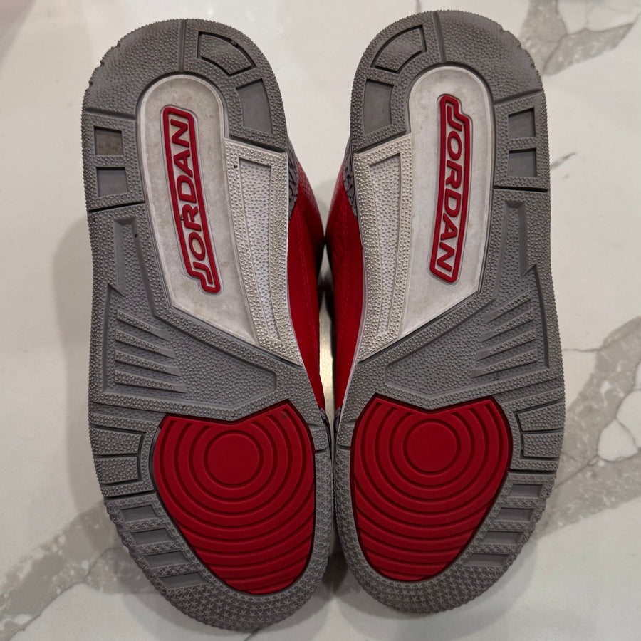 Air Jordan 3 Retro SE 