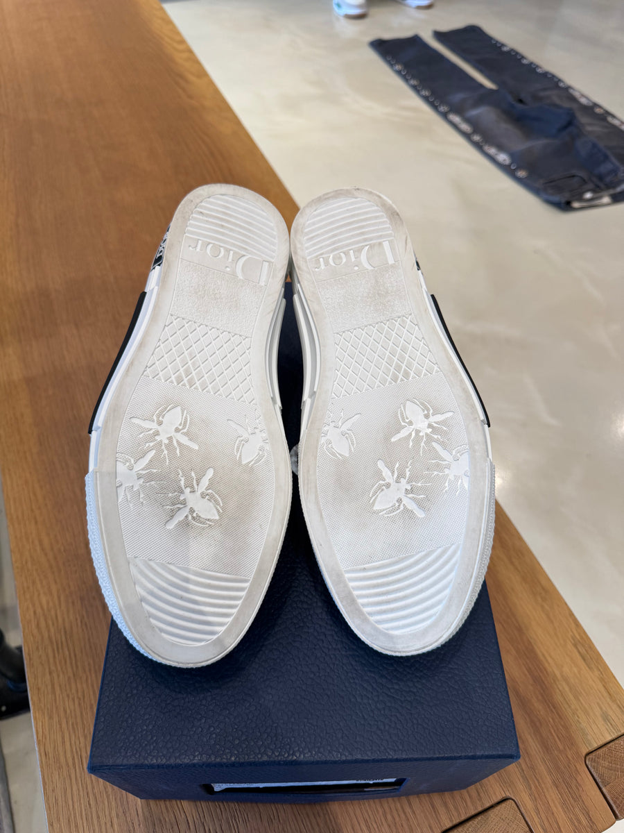 Dior B23 Low 