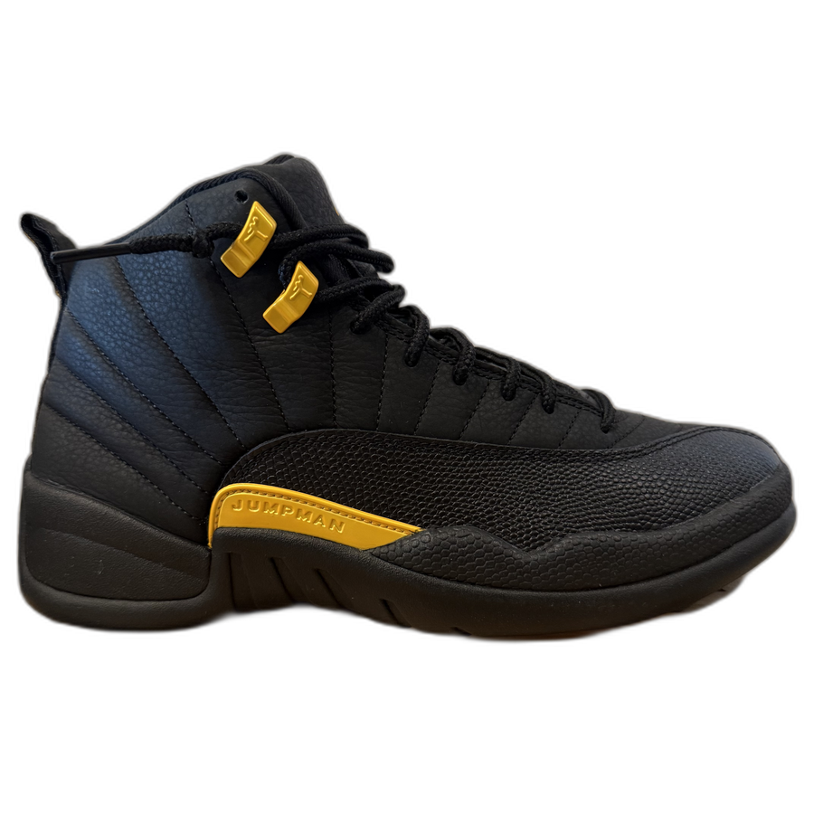 Air Jordan 12 Retro 