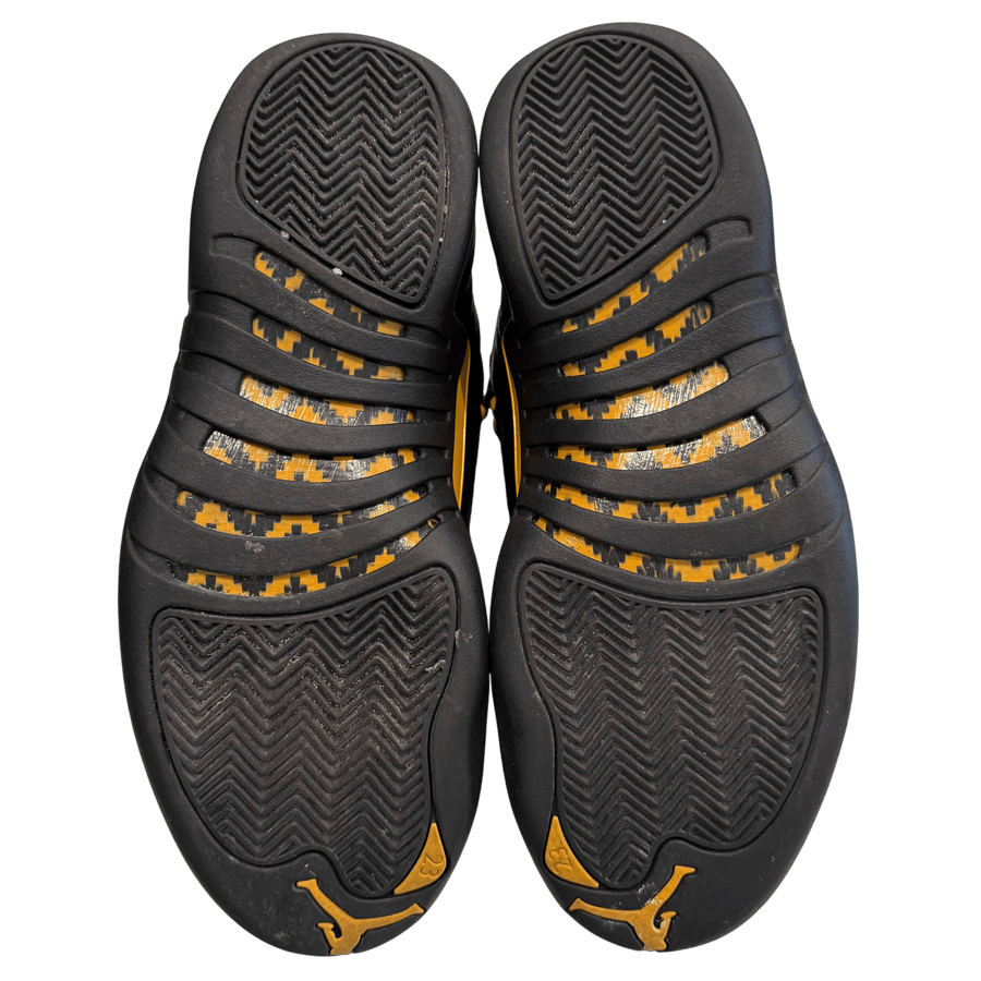 Air Jordan 12 Retro 