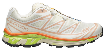 Salomon XT-6 