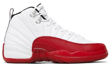 Air Jordan 12 Retro 